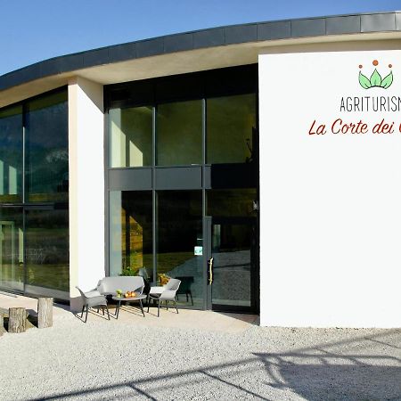 Agritur La Corte Dei Ciliegi Trente Buitenkant foto