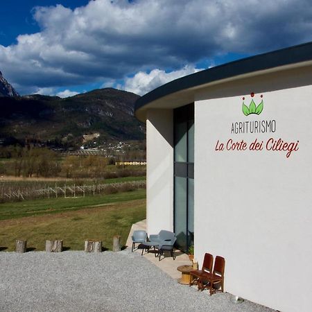 Agritur La Corte Dei Ciliegi Trente Buitenkant foto